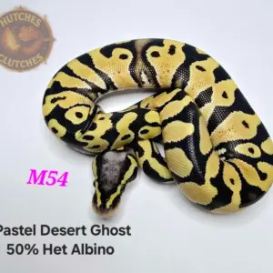 import placeholder for 30395