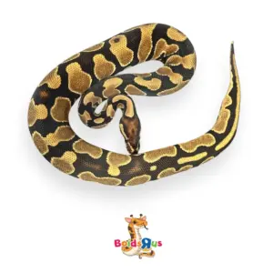 import placeholder for 30275