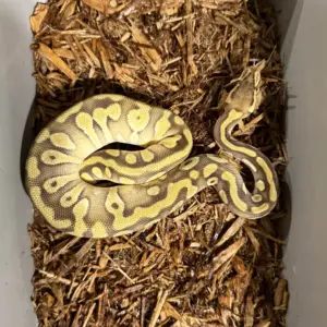 import placeholder for 30416