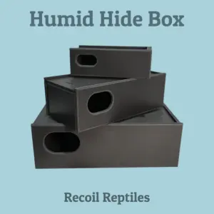 import placeholder for 30636