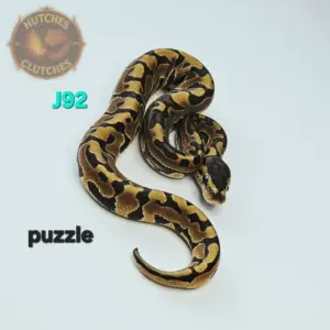import placeholder for 30293