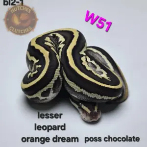 import placeholder for 30222